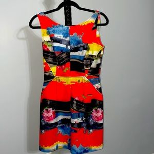 Milly Contemporary Art Dress Size 4